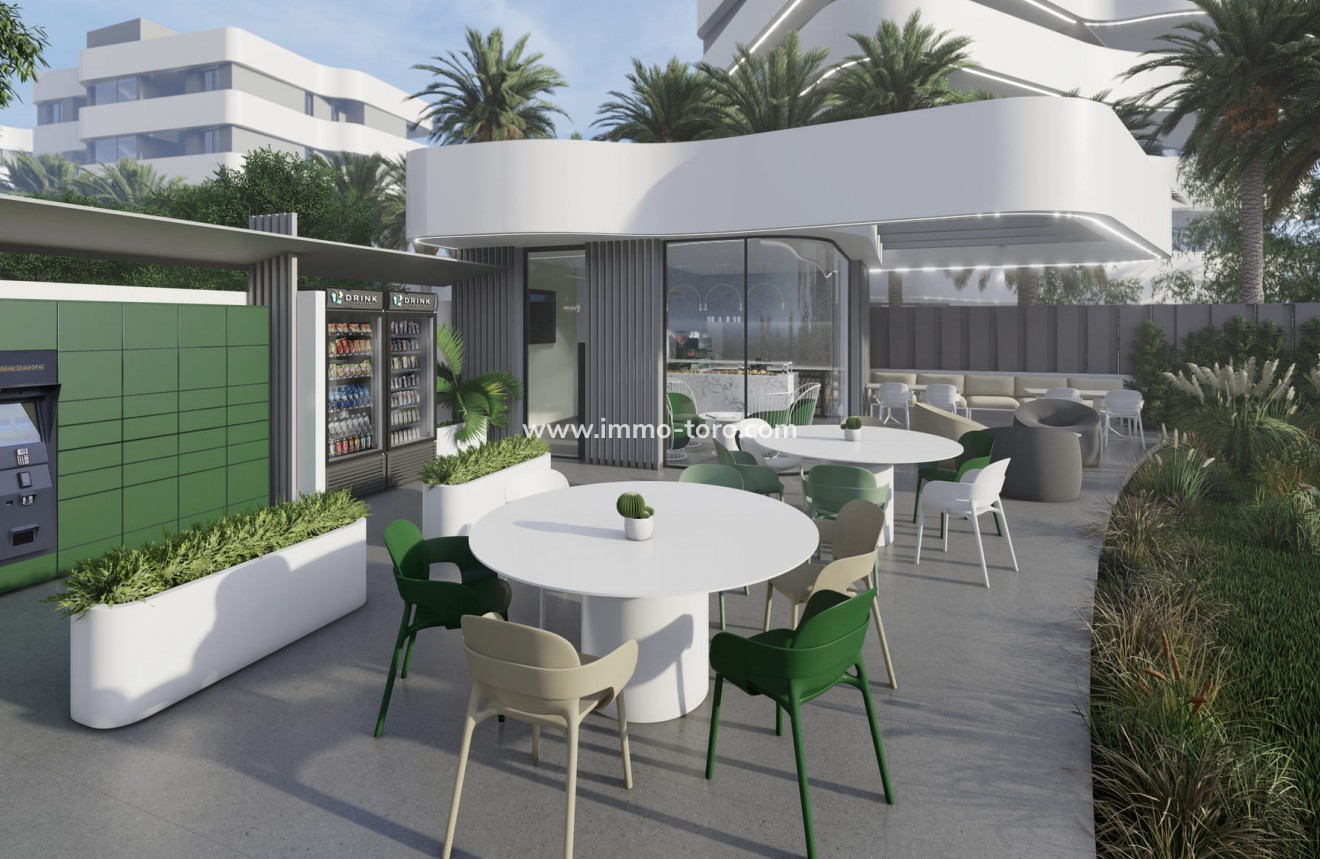 Nueva construcción  -  - Guardamar - Guardamar del Segura