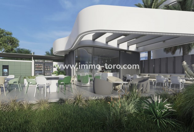 Nueva construcción  -  - Guardamar - Guardamar del Segura