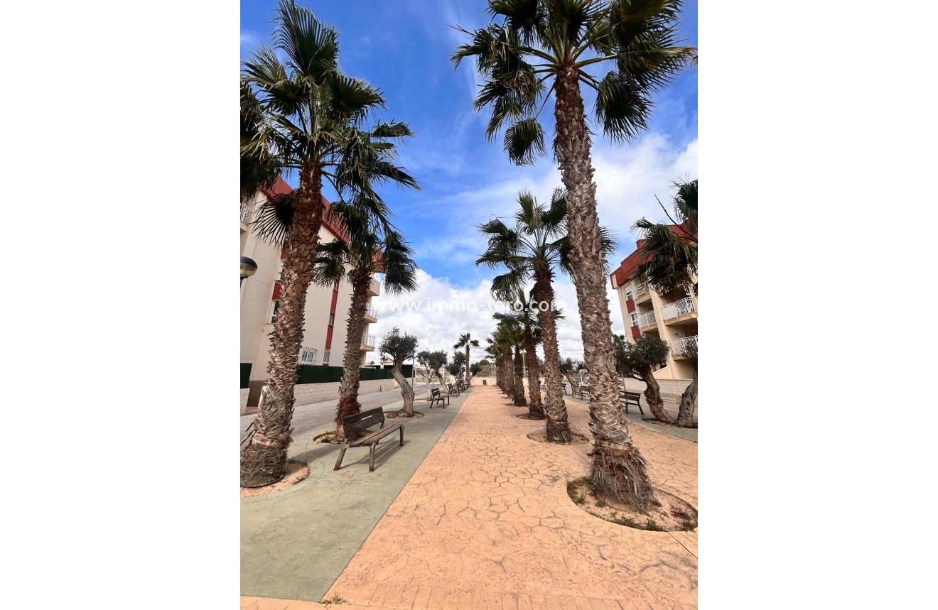 Nueva construcción  - Apartamento - Orihuela - Orihuela Costa