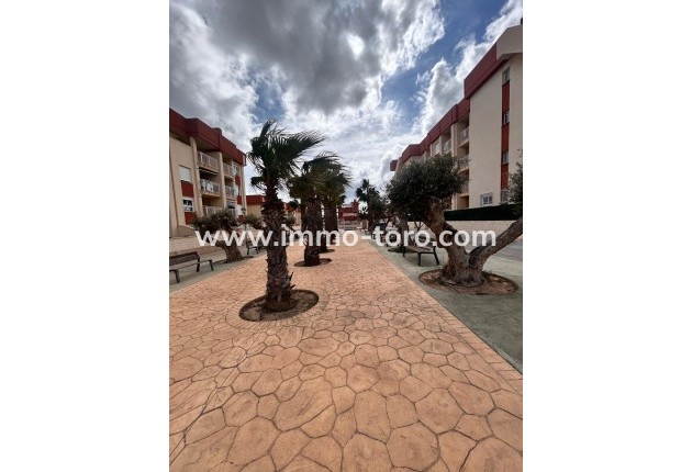 Nieuwbouw - Penthouse - Orihuela - Orihuela Costa