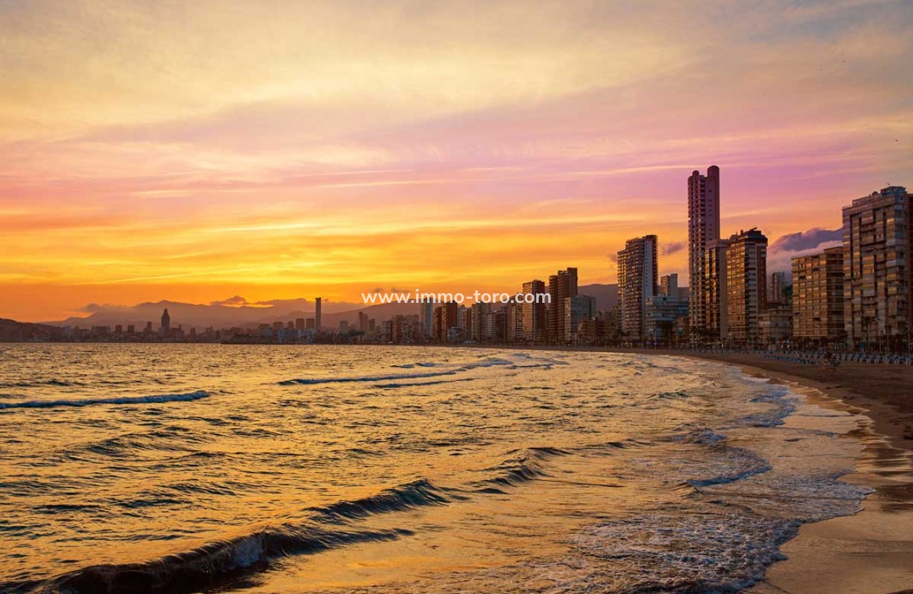 Nouvelle construction - Villa - Finestrat