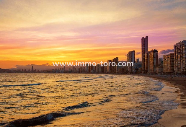 Nouvelle construction - Villa - Finestrat