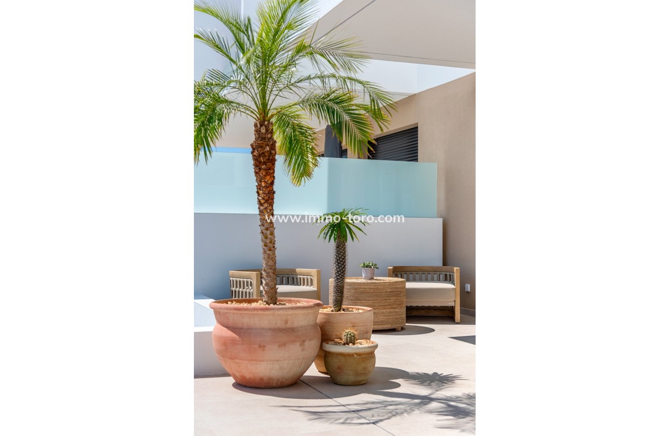 Nueva construcción  - Adosado - Dolores