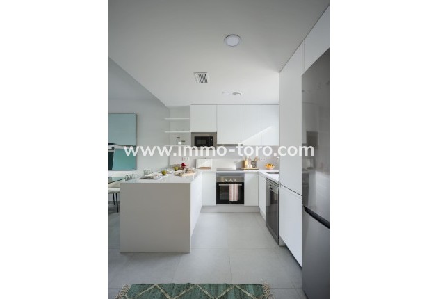 New Build - Detached house / Townhouse - Murcia