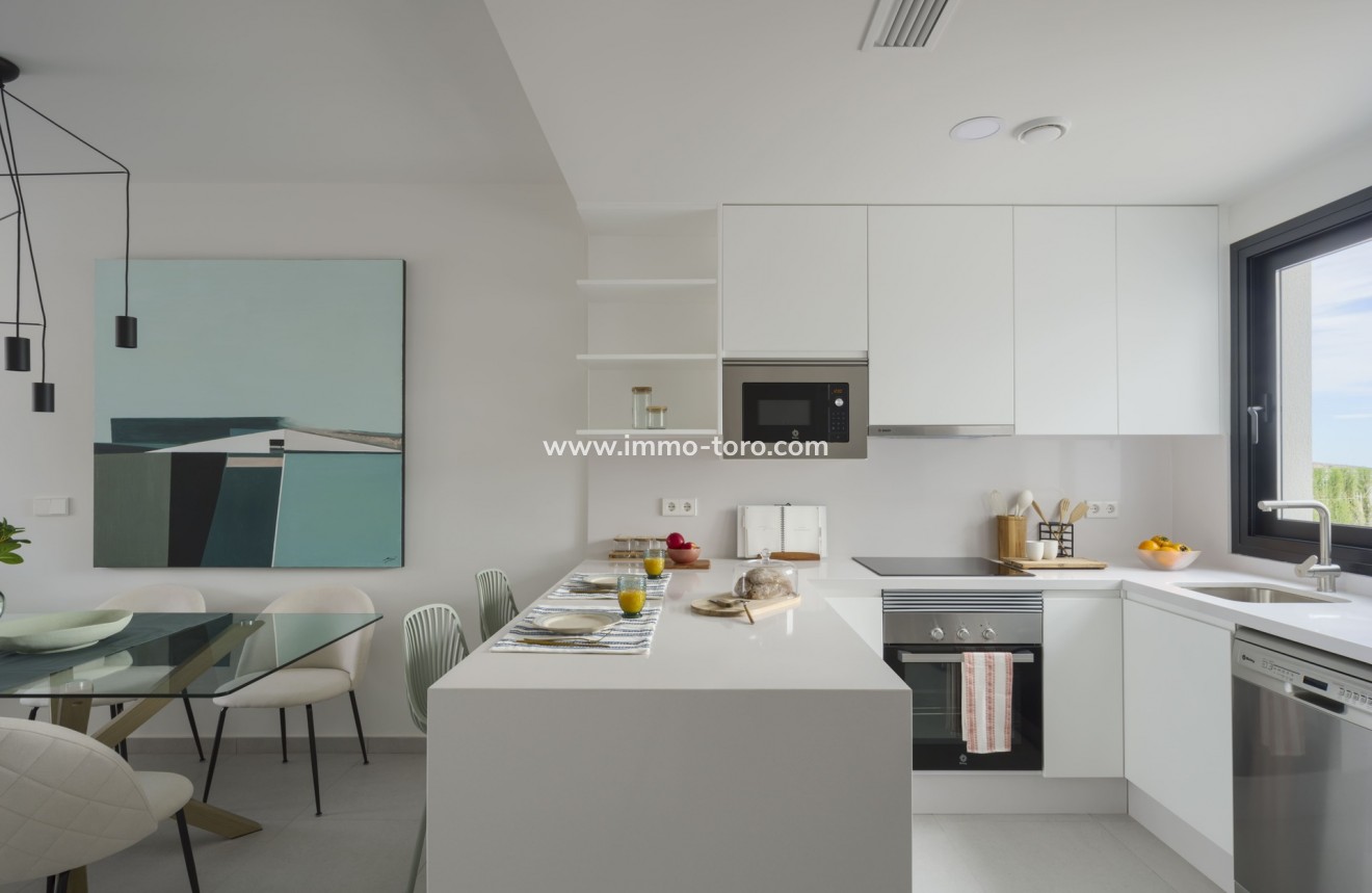 New Build - Detached house / Townhouse - Murcia