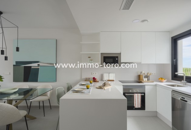 New Build - Detached house / Townhouse - Murcia