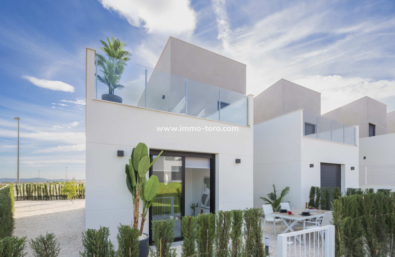 New Build - Detached house / Townhouse - Murcia