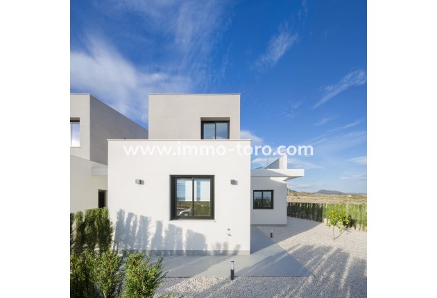 New Build - Detached house / Townhouse - Murcia