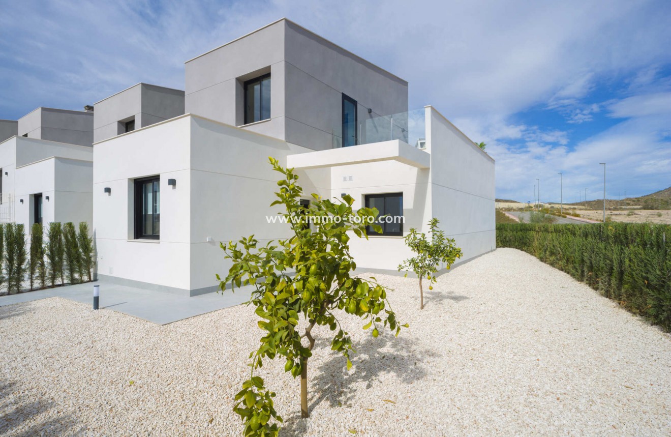 New Build - Detached house / Townhouse - Murcia