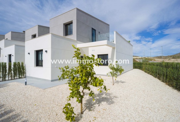 New Build - Detached house / Townhouse - Murcia
