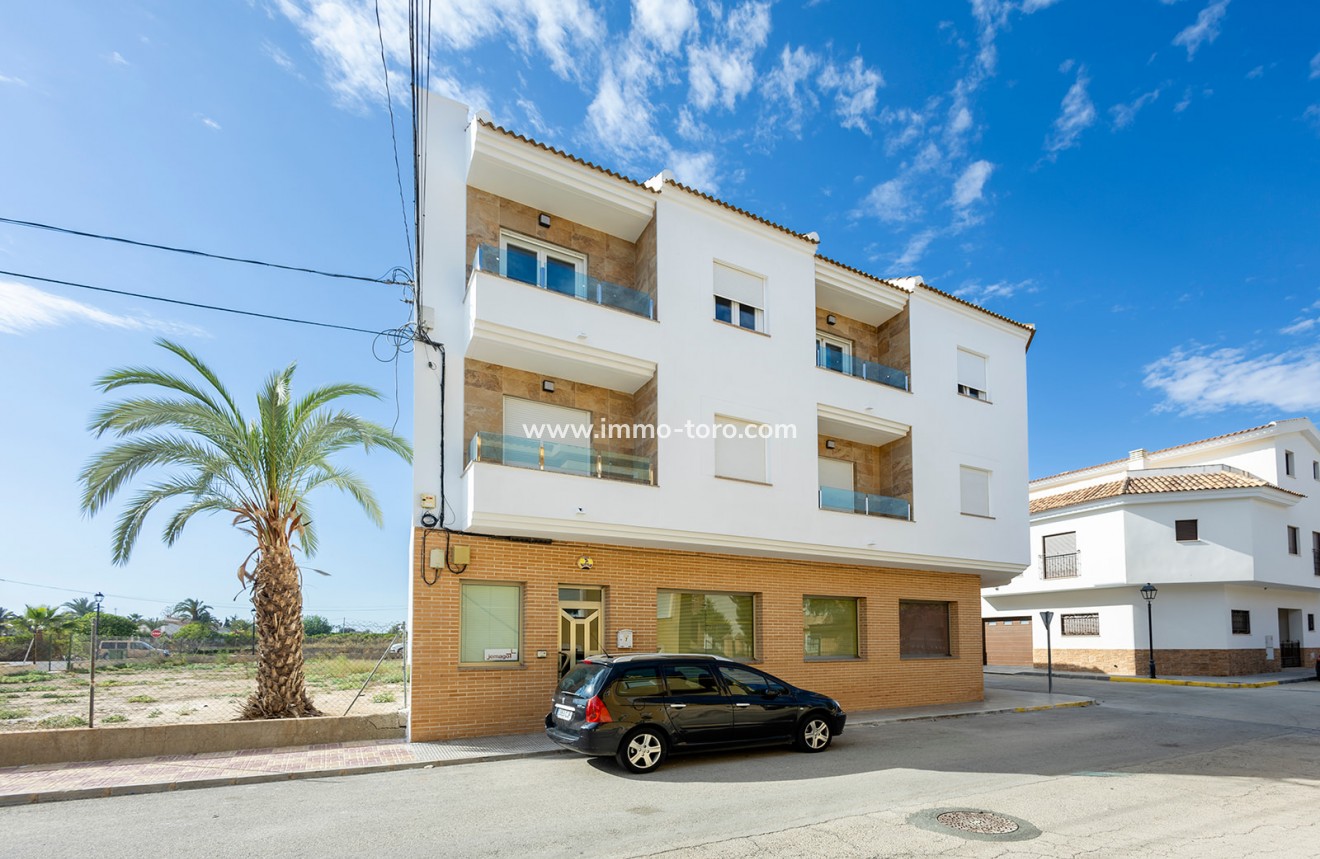 Nieuwbouw -  - Jacarilla