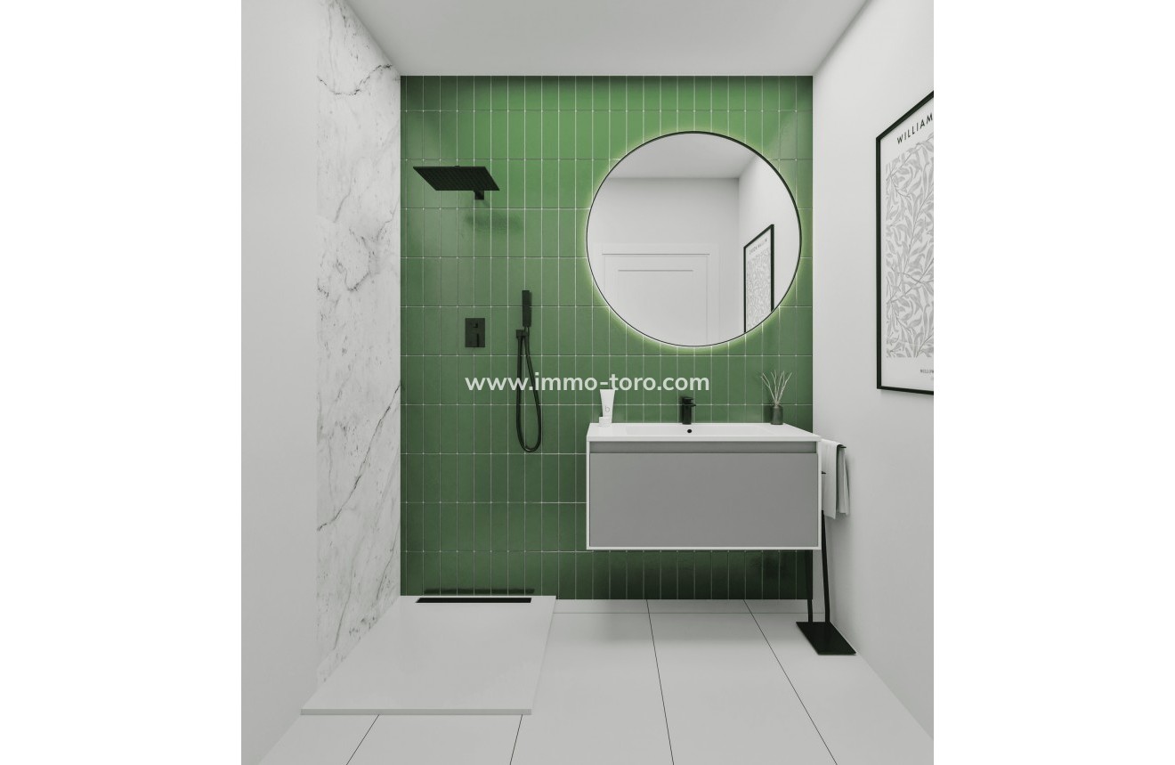 New Build -  - San Miguel de Salinas