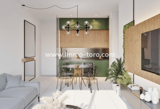 Nouvelle construction -  - San Miguel de Salinas