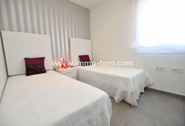 New Build - Apartment - San Miguel de Salinas - La Cañada