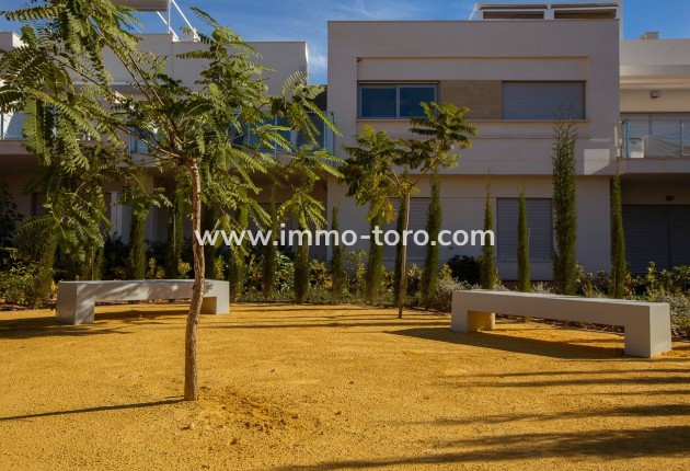 Nieuwbouw - Appartement  - Orihuela - Vistabella Golf