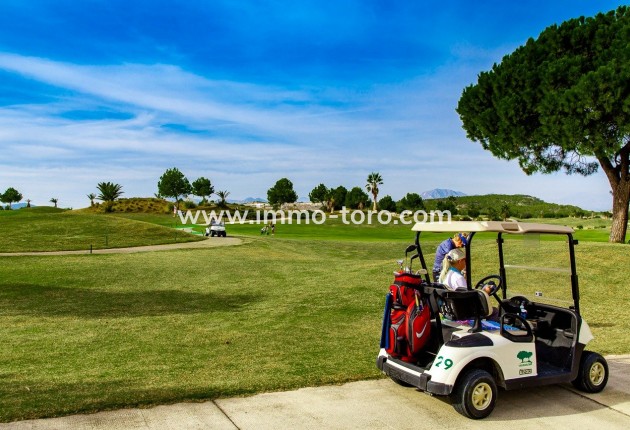 Nieuwbouw - Appartement  - Orihuela - Vistabella Golf