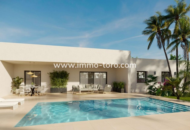 Nueva construcción  - Villa / Chalet - Aspe