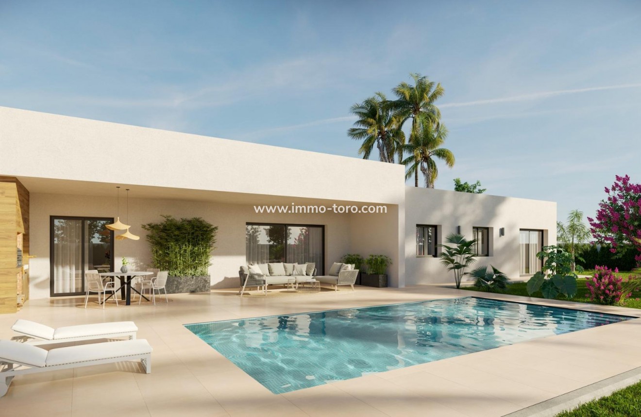 New Build - Villa - Aspe