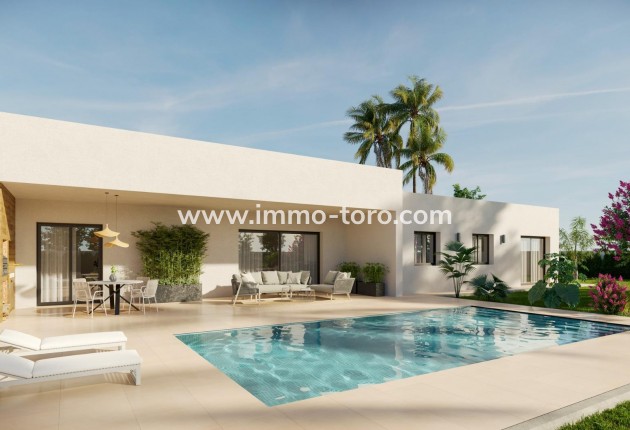 New Build - Villa - Aspe