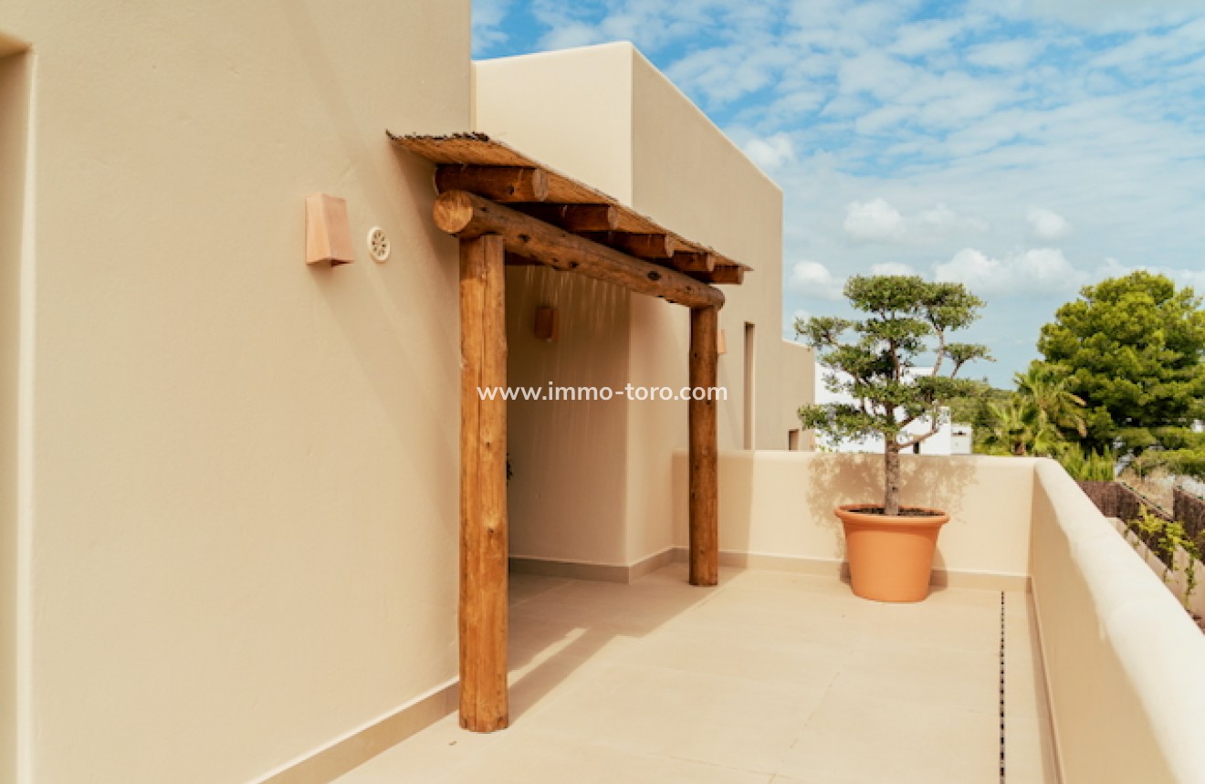 New Build - Villa - Javea - Lomas Del Rey Jávea