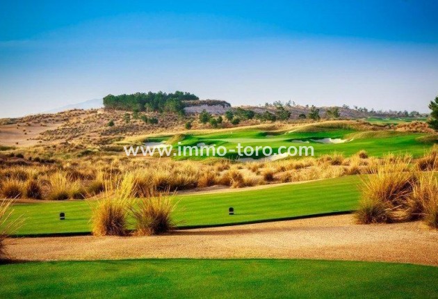 New Build - Villa - Alhama de Murcia - Condado de Alhama