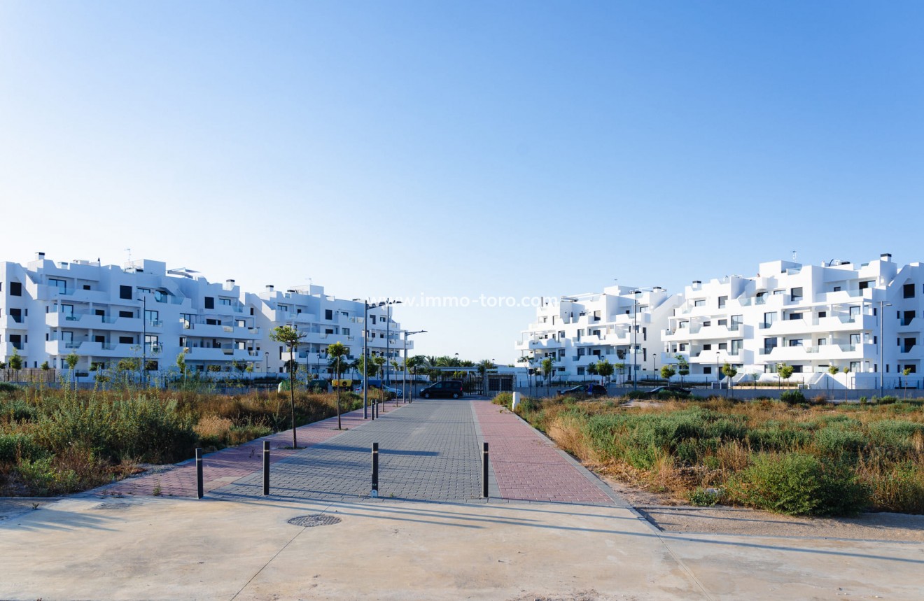 Nieuwbouw -  - Torre Pacheco - Santa Rosalia Lake And Life Resort