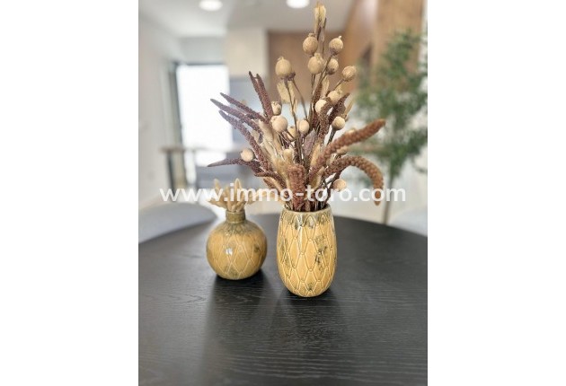 New Build -  - San Fulgencio