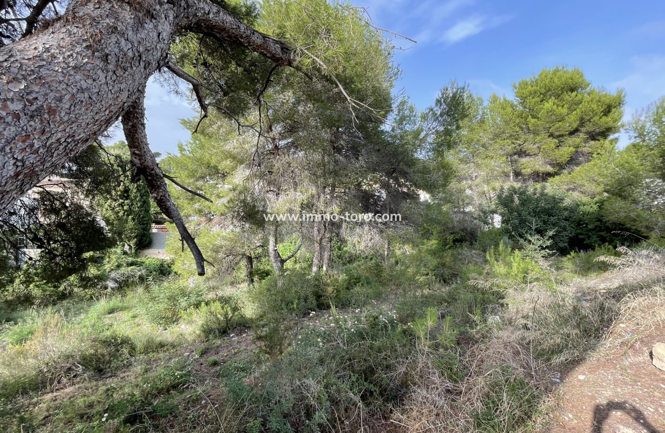 Revente - Plot - Moraira - Costera del Mar Moraira