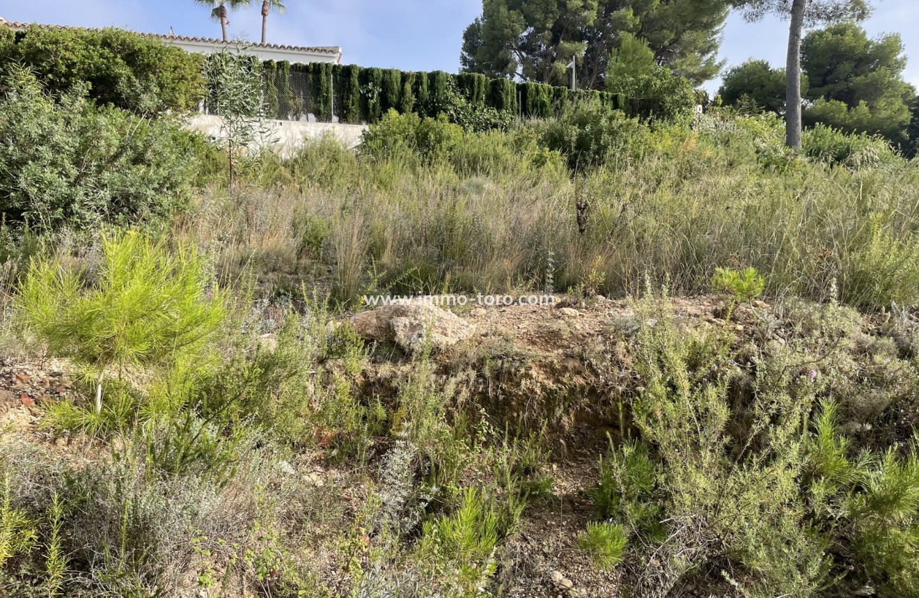 Revente - Plot - Moraira - Costera del Mar Moraira