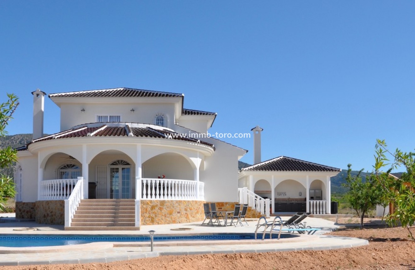 New Build - Villa - Pinoso