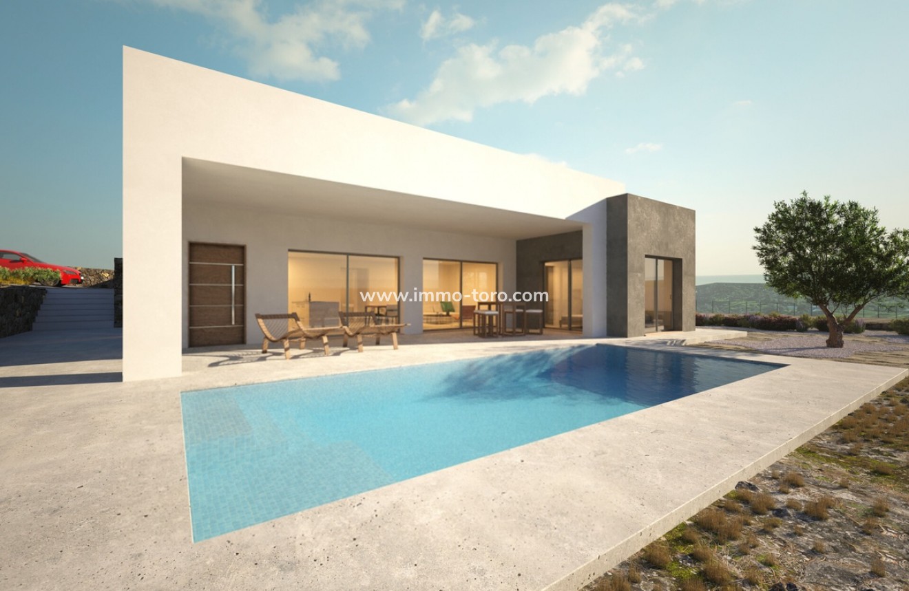 New Build - Villa - Pinoso