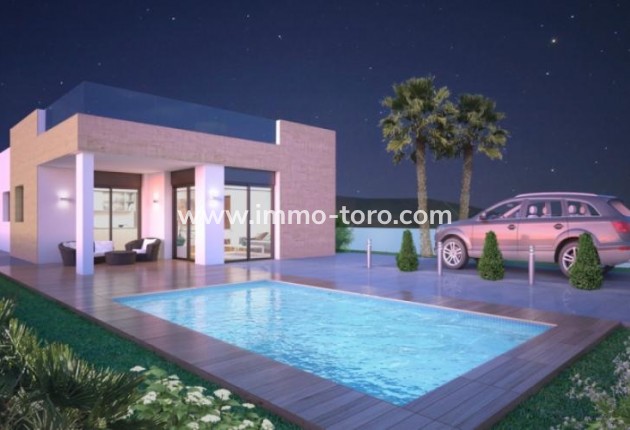 New Build - Villa - Pinoso