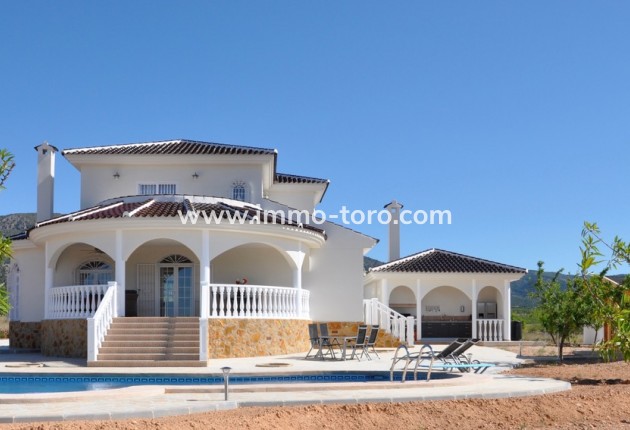 New Build - Villa - Pinoso