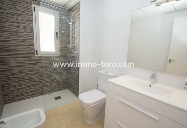 Nieuwbouw - Penthouse - Orihuela