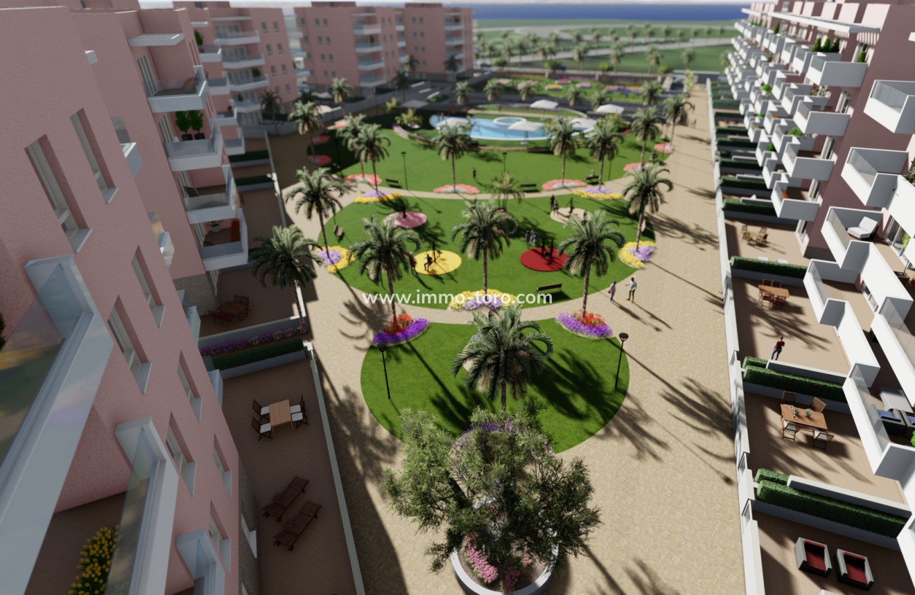 Nueva construcción  -  - Guardamar - Guardamar del Segura