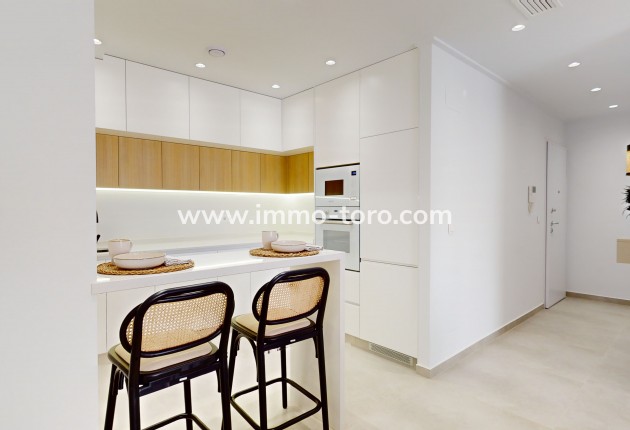 Nueva construcción  -  - Guardamar - Guardamar del Segura