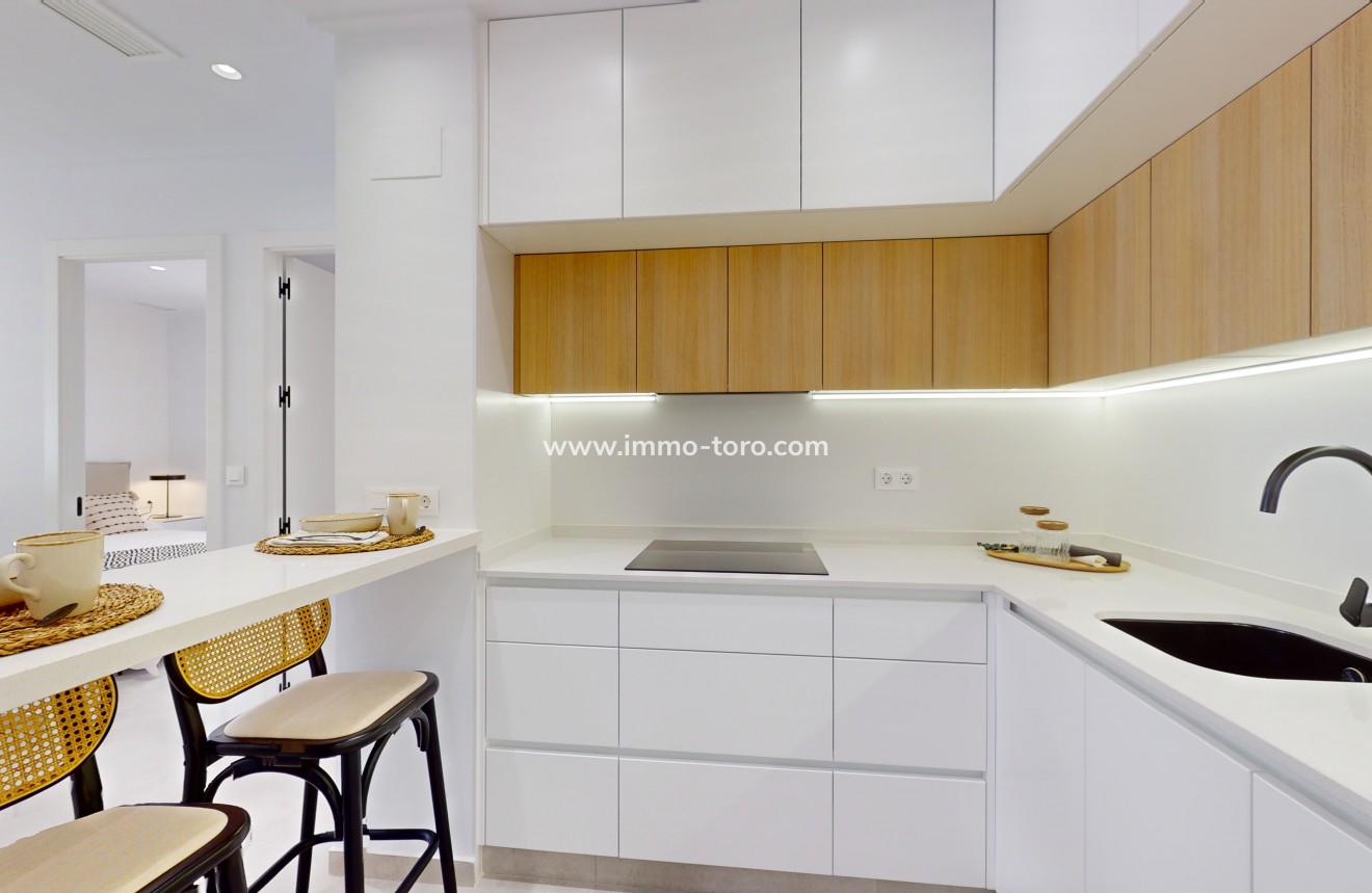 Nueva construcción  -  - Guardamar - Guardamar del Segura