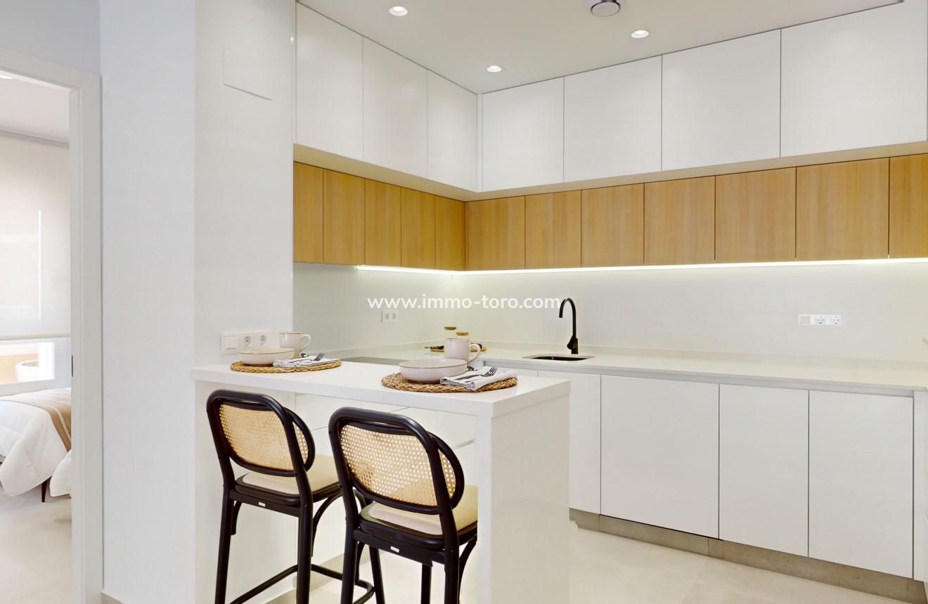 Nueva construcción  -  - Guardamar - Guardamar del Segura