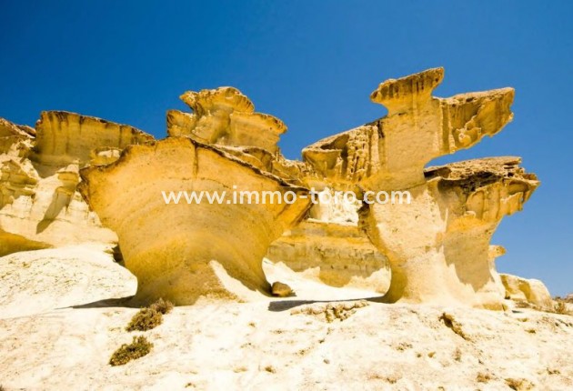 Nouvelle construction -  - La Manga - La Manga del Mar Menor