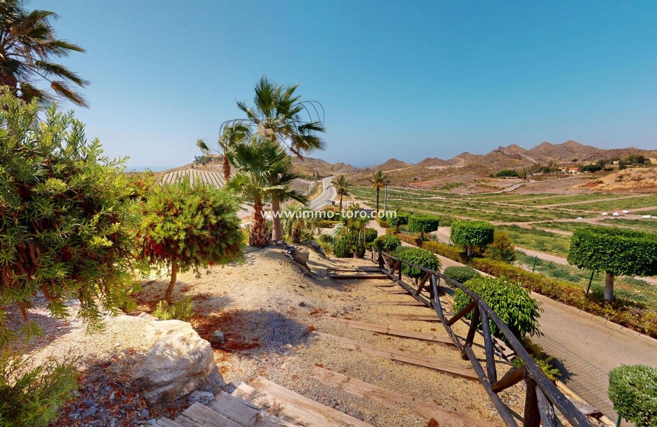 Nouvelle construction - Villa - Águilas