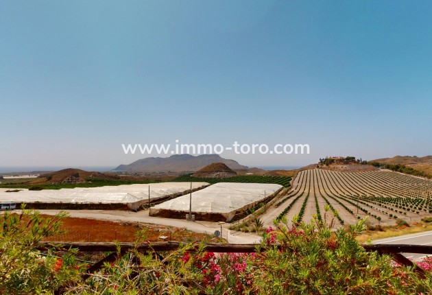 Nouvelle construction - Villa - Águilas