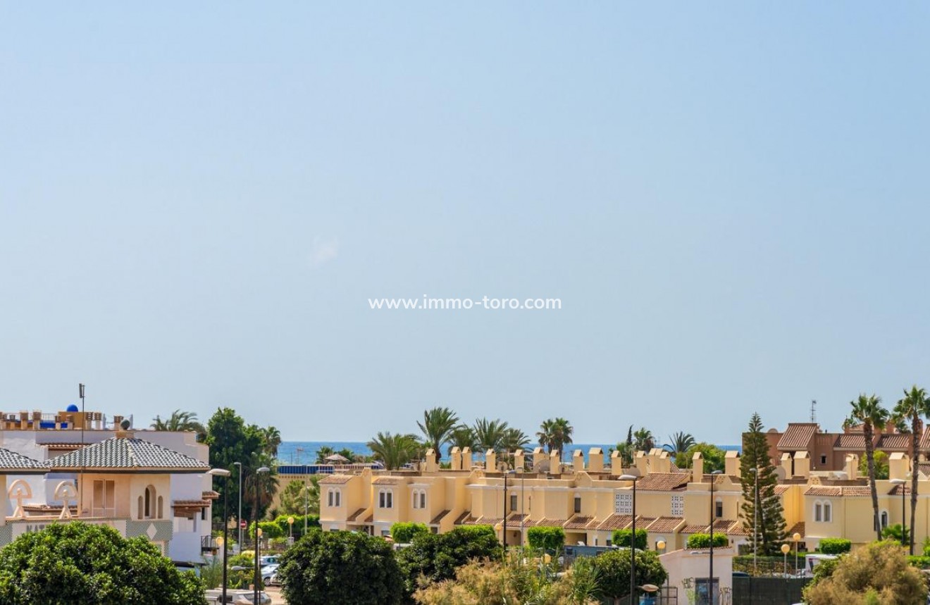 New Build - Villa - Vera - Vera playa