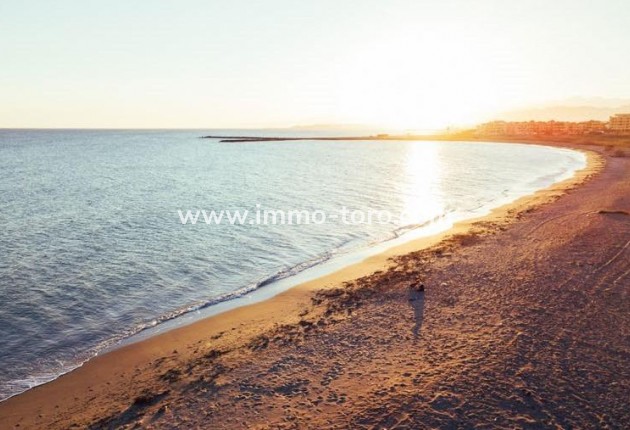 New Build -  - Almerimar