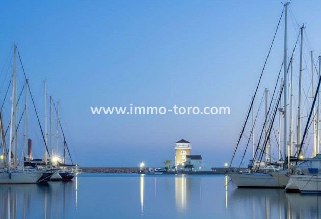 New Build -  - Almerimar