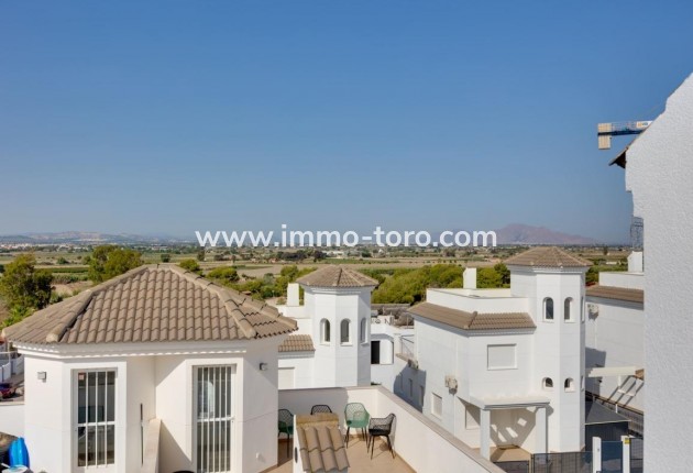 Nueva construcción  - Villa / Chalet - San Fulgencio - El Oasis