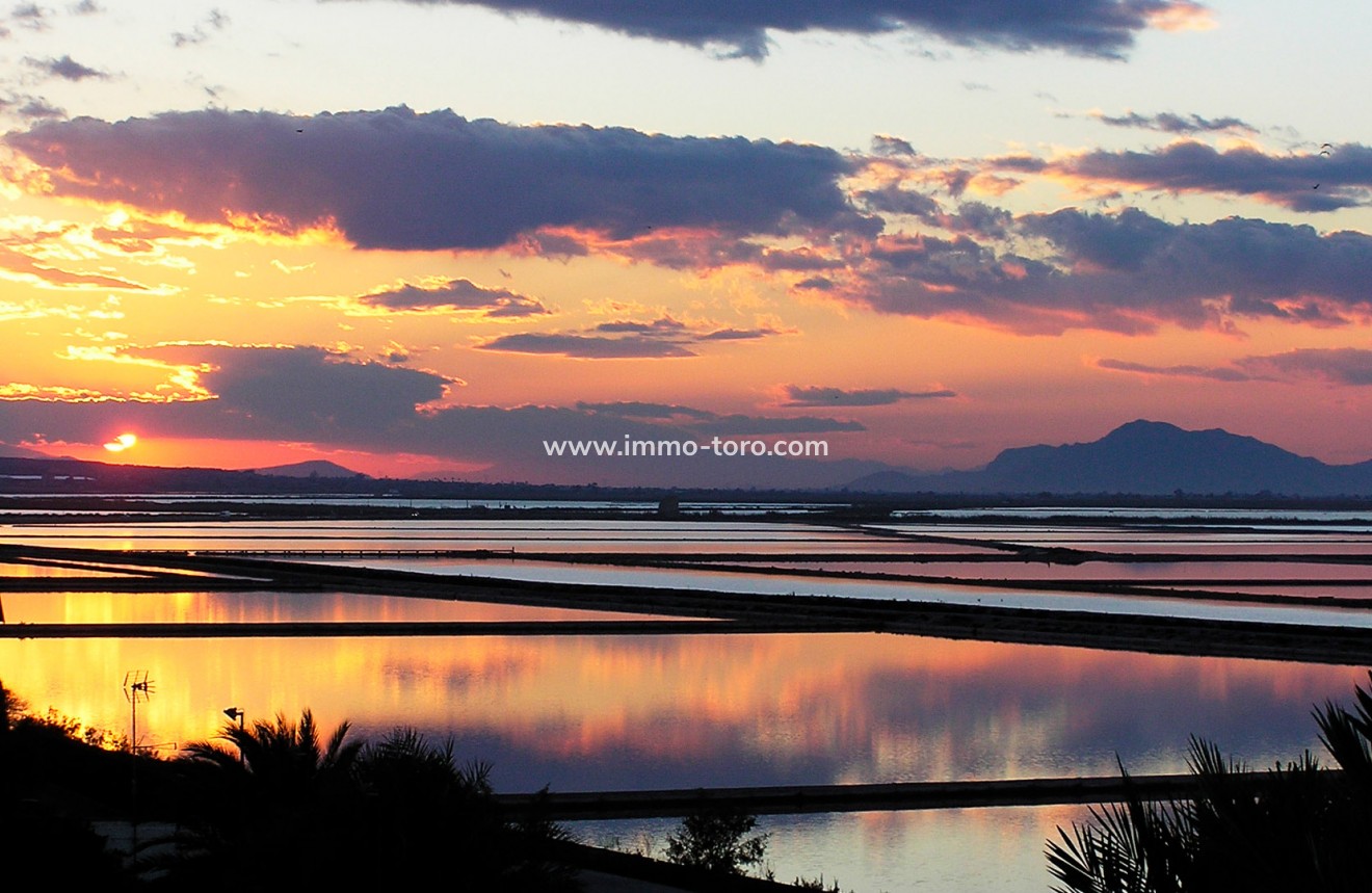 New Build - Apartment - Alicante - Alicante (Alacant)