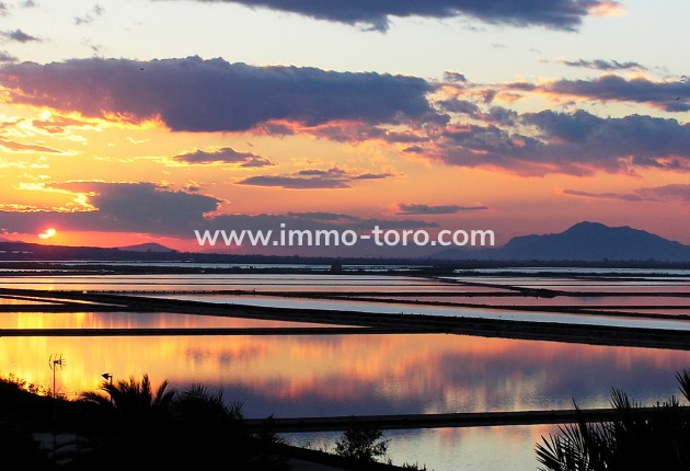 New Build - Apartment - Alicante - Alicante (Alacant)