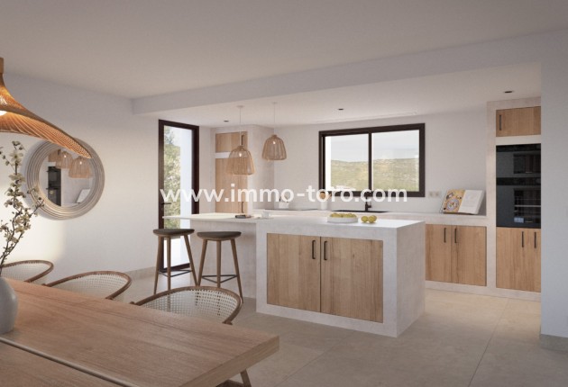 Nouvelle construction - Villa - Alcalali - Alcalalí