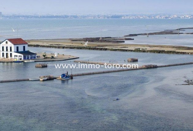 Nouvelle construction - Villa - San Pedro del Pinatar