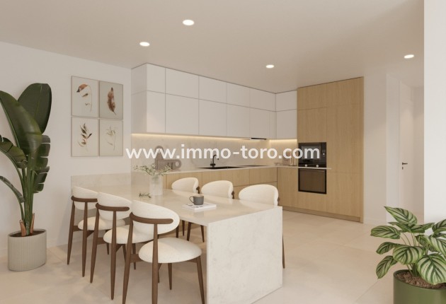 Nueva construcción  -  - Torrevieja